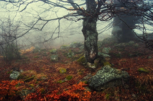 Let’s Get Messy: Sounds like Surrealism