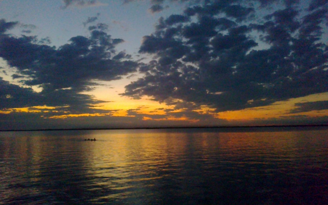 Our unique drop in classes, Drop in for $40 each week